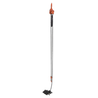 Mini palan &agrave; levier, Lev&eacute;e 20', Cabacit&eacute; 1000 lb (0,5 tonne), Chaîne en Acier Ontario Safety Products