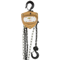 Heavy-Duty Gold Series Chain Hoist, 20' Lift, 4000 lbs. (2 tons) Capacity, Alloy Steel Chain LU598 | Ontario Safety Product