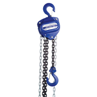 Chain Hoist, 10' Lift, 2000 lbs. (1 tons) Capacity, Load Chain Grade 80 Chain LU646 | Ontario Safety Product