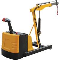 Grue d'atelier &eacute;lectrique, Lev&eacute;e 8,8', 1500 lb (0,75 tonne), 44-1/4" bras, 62-1/4" ha Ontario Safety Products