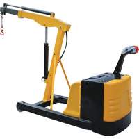 Grue d'atelier &eacute;lectrique, Lev&eacute;e 8,8', 1500 lb (0,75 tonne), 44-1/4" bras, 62-1/4" ha Ontario Safety Products