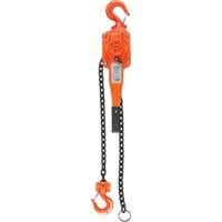 Lever Chain Hoists