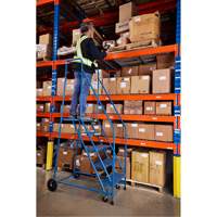 CSA-Certified Rolling Step Ladder, 5 Steps, 22" Step Width, 46" Platform Height, Steel Ontario Safety Products