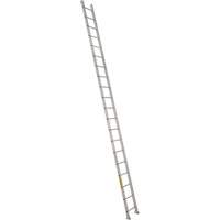 Industrial Heavy-Duty Straight Ladders, 20', Aluminum, 300 lbs., CSA Grade 1A MD512 | Ontario Safety Product