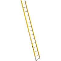 Single Section Straight Ladder - 6100 Series, 14', Fibreglass, 375 lbs., CSA Grade 1AA MF383 | Ontario Safety Product