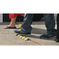 Syst&egrave;me de protection de c&acirc;bles Ultra-Sidewinder - petit , 13,125" x 3" x 0,75", 32000 lb (16 tonnes) Ontario Safety Products