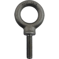 Alloy Steel Eye Bolt, 1" Dia., 1-1/4" L, 1480 lbs. (0.74 tons)/1480 lbs. Capacity Ontario Safety Products