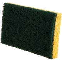Utility Sponges, Cellulose, 6" W x 3-1/2" L Ontario Safety Products