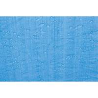 Tarp, Standard Duty, Blue, 7' x 5' x 4 mils Ontario Safety Products
