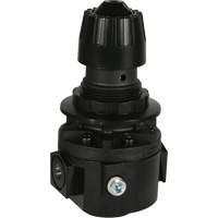 Wilkerson Regulator R26, 3/8" NPT, 300 psi Max. PSI, Standard Ontario Safety Products