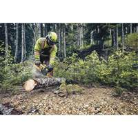 Flexvolt&reg; Cordless Chainsaw, 16", Battery Powered, 60 V Ontario Safety Products