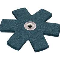 Ponçage Star Scotch-Brite Ontario Safety Products