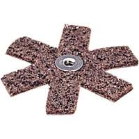 Ponçage Star Scotch-Brite Ontario Safety Products