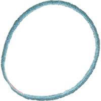 Scotch-Brite Surface Conditioning Belt Ontario Safety Products