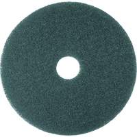Cleaner Pad, 13", Scrubbing, Blue Ontario Safety Products