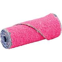 Cartouche R982, 80 Grain, 1/2" dia., C&eacute;ramique d'alumine, 1-1/2" lo, 1/8" Dimension de l'arbre Ontario Safety Products