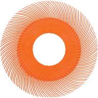 Scotch-Brite Type C Precision Radial Bristle Brush PN-RB without Adapter, Ceramic, 80+ Grit, 6" Dia. Ontario Safety Products