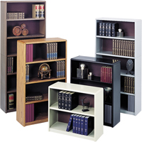 Value Mate&reg; Steel Bookcase Ontario Safety Products
