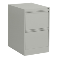 Vertical Filing Cabinet, Steel, 2 Drawers, 18-1/7" W x 25" D x 29" H, Grey OP917 | Ontario Safety Product