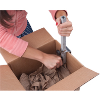 Carton Sizer Ontario Safety Products