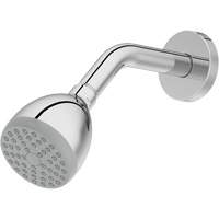 One-Function Showerhead PUM002 | Ontario Safety Product