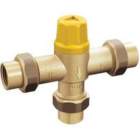 Adjustable Temperature Thermostatic Mixing Valve PUM116 | Ontario Safety Product
