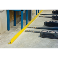 Floor Angle Guard Rails, Steel, 48" L x 5" H, Yellow RN065 | Ontario Safety Product