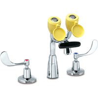 Faucet & Eyewash Station, Sink Mount Installation SAI288 | Ontario Safety Product