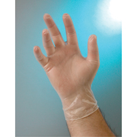 Examination Grade Gloves, Small, Vinyl, 4-mil, Powder-Free, Clear, Class 2 SAI677 | Ontario Safety Product