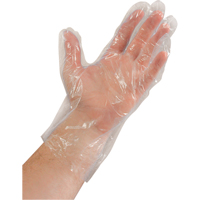 Disposable Gloves, Large, Polyethylene, 0.02-mil, Powder-Free, Clear SAI935 | Ontario Safety Product