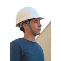 Chinstrap for ERB Hardhat SAX890 | Ontario Safety Product