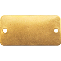 &eacute;tiquettes vierges, Laiton, 2" la x 1" h Ontario Safety Products