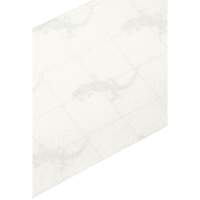 Ruban antid&eacute;rapant de premi&egrave;re qualit&eacute;, 4" x 60', Transparent Ontario Safety Products
