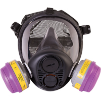 Respirateur &agrave; masque complet de s&eacute;rie RU6500 de North, Silicone, Moyen Ontario Safety Products