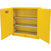 Flammable Storage Cabinet, 24 gal., 2 Door, 43" W x 44" H x 12" D SDN645 | Ontario Safety Product