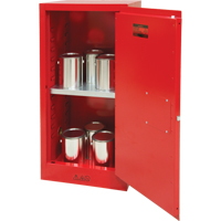 Paint/Ink Cabinet, 20 gal. Ontario Safety Products