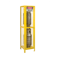 Gas Cylinder Cabinets, 2 Cylinder Capacity, 17" W x 17" D x 69" H, Yellow SEB838 | Ontario Safety Product