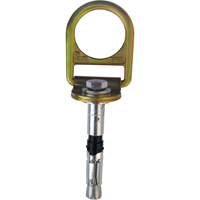 PRO™ Concrete D-ring Anchor with Bolt, Concrete/D-Ring, Permanent Use SEB928 | Ontario Safety Product