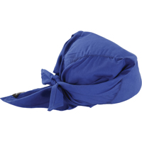 Chill-Its<sup>®</sup> 6710CT Cooling Triangle Hats, Blue SEC686 | Ontario Safety Product