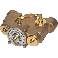 Vannes de m&eacute;lange thermostatique, 78 gal./min Ontario Safety Products