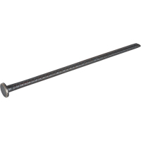 Rebar Spike Ontario Safety Products