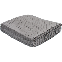 Sorbent Pads