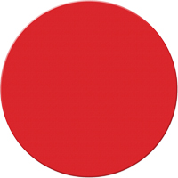 Marqueurs all&eacute;g&eacute;e/5S Armor Stripe, Cercle, 6" lo x 6" la, Rouge, Plastique Ontario Safety Products