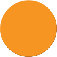 Marqueurs all&eacute;g&eacute;e/5S Armor Stripe, Cercle, 6" lo x 6" la, Orange, Plastique Ontario Safety Products