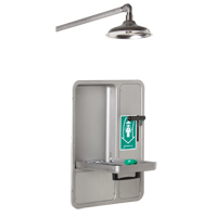 Eye/Face Wash and Shower, Ceiling-Mount SGC296 | Ontario Safety Product