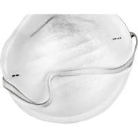 Disposable Nuisance Dust Mask SGW858 | Ontario Safety Product