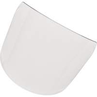 Visi&egrave;re standard pour casque Ontario Safety Products