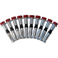 Replacement Bolt Kit for Concrete D-Ring Anchors, Bolt-On, Permanent/Temporary Use Ontario Safety Products