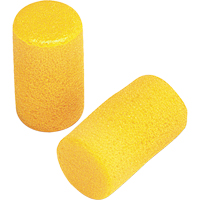 E-A-R Classic Earplugs, Pair - Pillow Pack, Large Ontario Safety Products