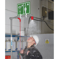 Combination Shower with Closed ABS Bowl & Top Inlet, Pedestal Ontario Safety Products